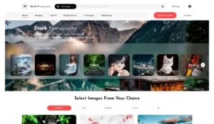 buy theme for wordpress in 2025